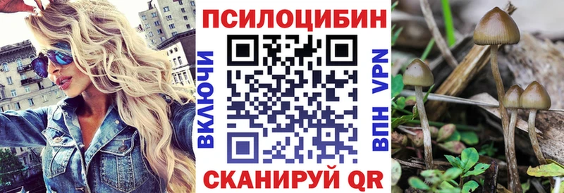 Галлюциногенные грибы Cubensis  где найти   Холм 